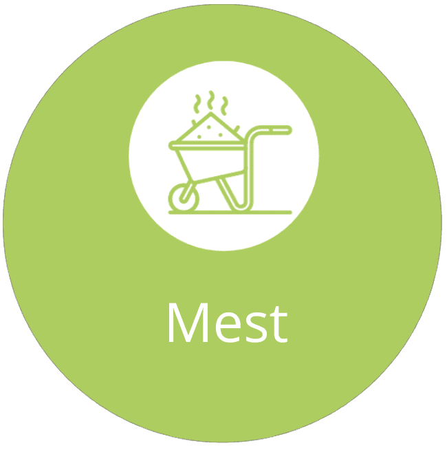 Mest icoon def.png