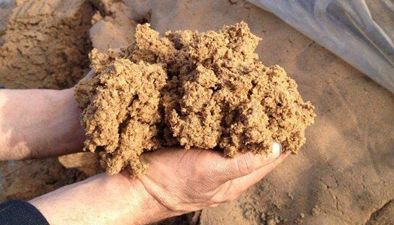 Moist feed and Co-products Moist feed and Co-products