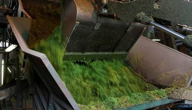 Crop drying for alfalfa, grass and straw Crop drying for alfalfa, grass and straw