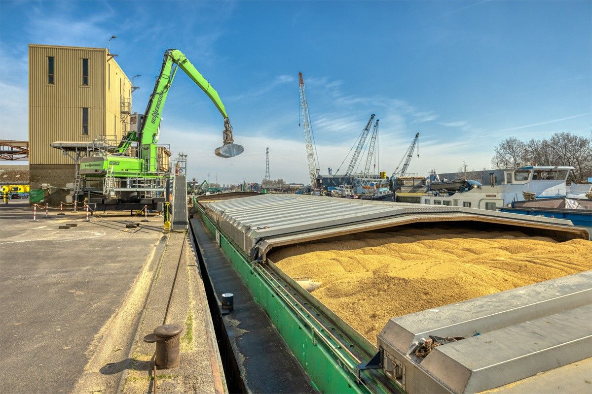 Ontbossingsvrijesoja-lossen-Drachten-locatie.jpg