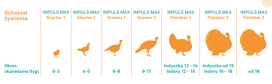 schemat żywienia IMPULS MAX.png